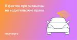 🚗 Теория, практика и пересдачи: главное об экзаменах на водительские права🚗