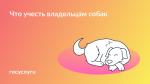 🐕‍🦺 Прогулка, прививка и проезд: что нужно соблюдать, если есть собака
