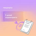 💼 Бизнес, хозяйство и обучение: для чего подходит соцконтракт