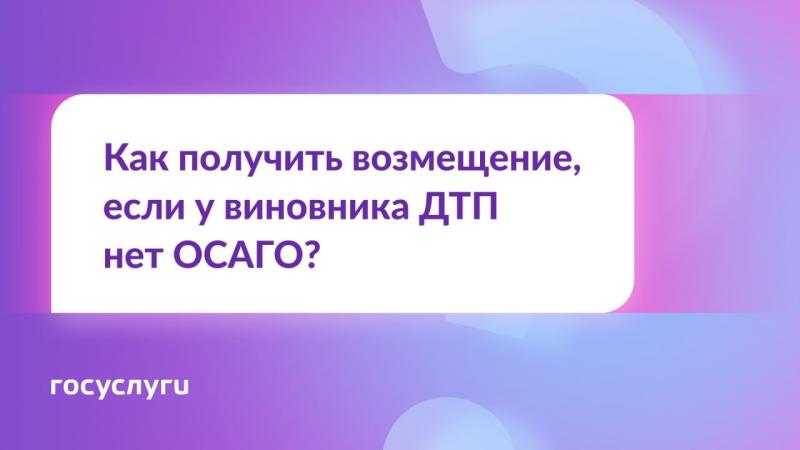 ❓ У виновника ДТП нет ОСАГО. Кто возместит ущерб?❓