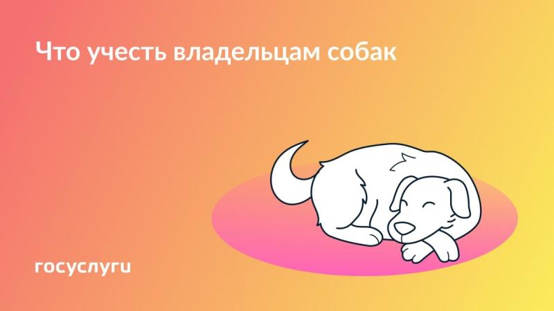 🐕‍🦺 Прогулка, прививка и проезд: что нужно соблюдать, если есть собака