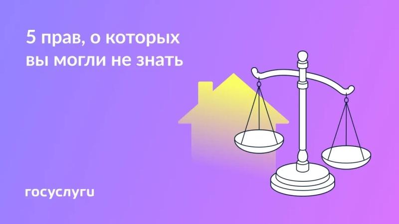 ☝️ Запомните и поделитесь: эти права пригодятся в обычной жизни