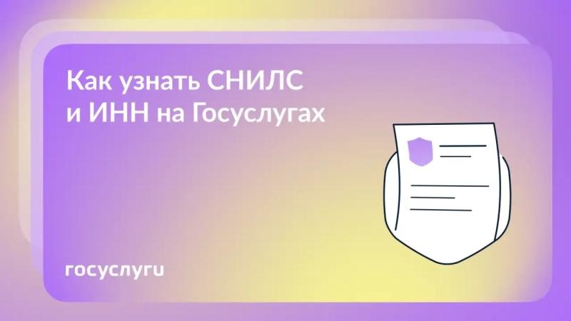 🔢 Два ваших уникальных номера на Госуслугах