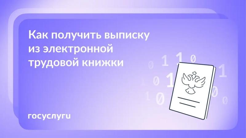 💼 Сведения о трудовой деятельности можно получить на Госуслугах